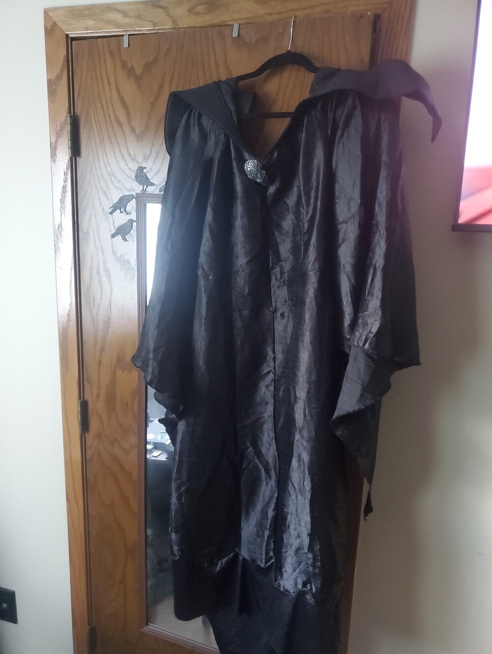 Maleficent Cosplay Dress